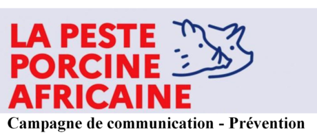 Capture d’écran 2023-09-08 163751