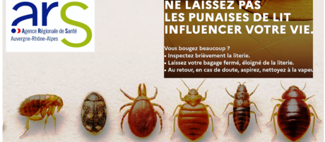 Capture d’écran 2025-10-22 200620