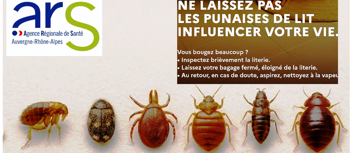 Capture d’écran 2025-10-22 200620