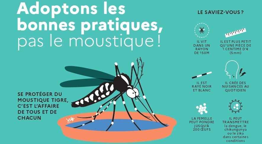 2026-04-08_20231206_ARS22_MOUSTIQUE-TIGRE_FLYER-150x100mm_BAT_pages-to-jpg-0001